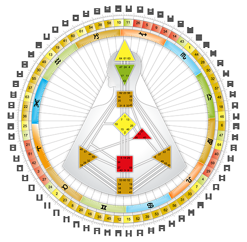 Diseño Humano