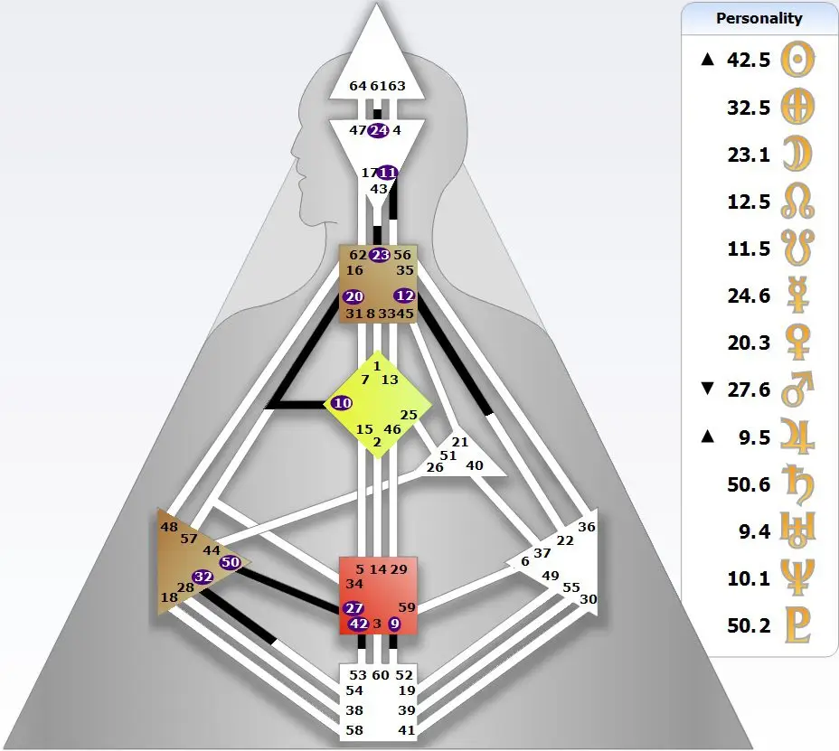 Puertas conscientes en el Diseño Humano — Personalidad en negro